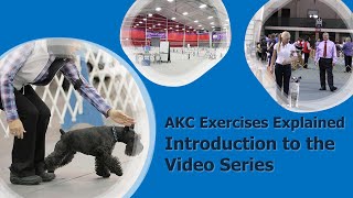 Introduction to AKC Exercises Explained