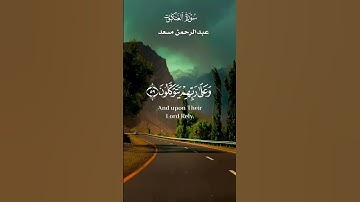 الَّذِينَ صَبَرُوا وَعَلَىٰ رَبِّهِمْ يَتَوَكَّلُونَ _ تلاوة من سورة العنكبوت_ عبدالرحمن مسعد