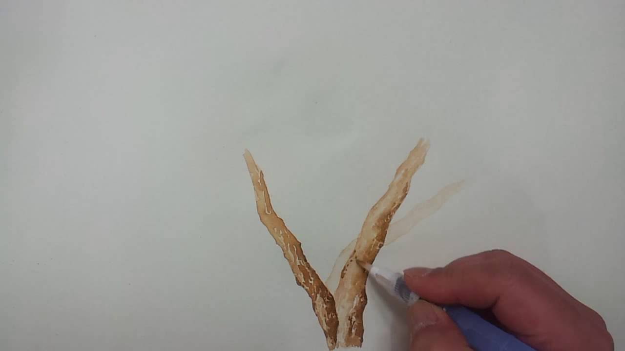 나무그리기 수채화 워터브러쉬 연습 staedtler water brush YouTube