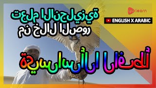 تعلم الانجليزية من خلال الصور |مفردات اللغة الإنجليزية أطفال الأساسية | Golearn screenshot 3