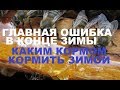 Виды кормов для зимней подкормки пчёл. Плюсы и минусы.