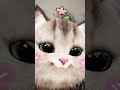 Kitten Meow Meow 💕😺#cat #catsounds #catvideos #catshorts #viralcatvideo #kitten #meowing #fluffy