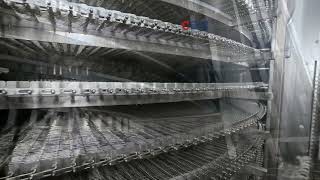 Double spiral quick freezing, meeting all your quick frozen food requirements. screenshot 1