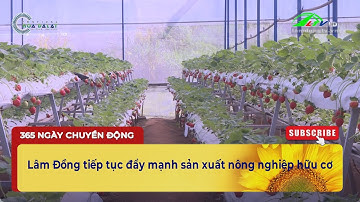 Lâm Đồng tiếp tục đẩy mạnh sản xuất nông nghiệp hữu cơ  | Lâm Đồng TV