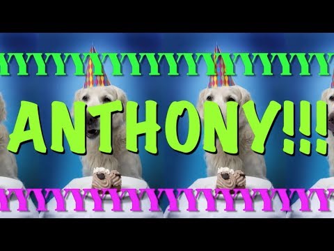 Happy Birthday Anthony! - Epic Happy Birthday Song