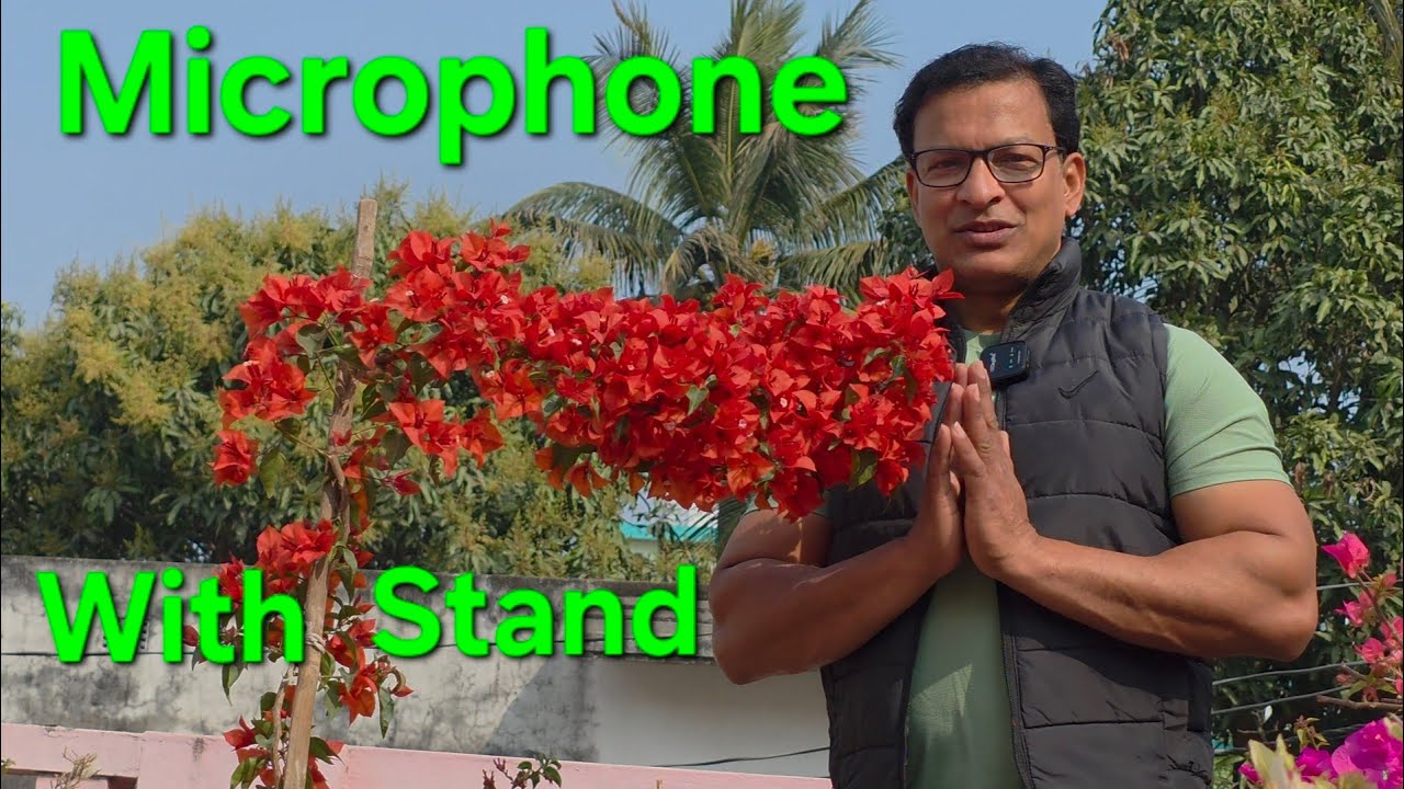 Gorgeous VF Flame Bougainvillea|bougainvillea care and fertilizer|@SubMomThita 
