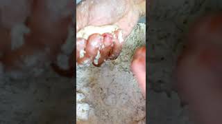 How To Make Perfect Thekua