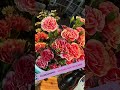 Mini-Market For Moms 5/9/26