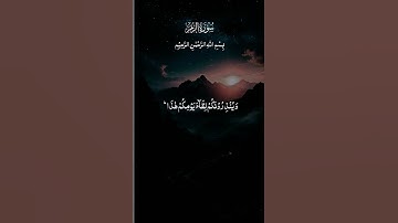 #القرآن_الكريم #المصحف #اكسبلور #راحة_نفسية #تلاوة_خاشعة #duet #لايك