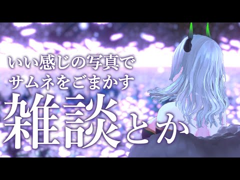 いい感じの写真を使えばサムネごまかせるじゃろ…￤Vtuber/ ライザ陛下 /