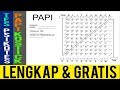 RAHASIA PSIKOTES PAPI KOSTICK TEST