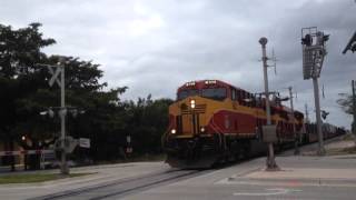 FEC Train 123 MP 325.2 8:25 a.m. With AAF Trackwork!