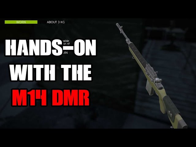 M14/DMR : r/dayz