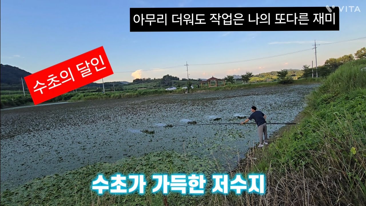 찌들린 저수지 과연 입질이 올까 수초의 달인 #아트류해용 
