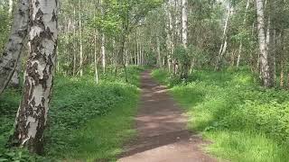 Nature Reserve Oude Landen Ekeren