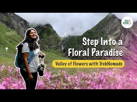 Valley of Flowers Trek with Niharika Arora | Breathtaking Himalayan Adventure 🌸 | TrekNomads - video from TrekNomads
