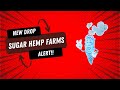 Sugar Hemp Farms THCA Review: Face Off OG x NF1 This is a HEAVY HITTER!!! (💀🤧🥴)