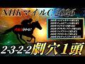 NHKマイルC2026【事前展望】あの穴馬が面白いです🐴