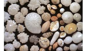 HSC Water isotopes and climate 4: ocean sediments