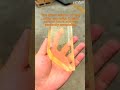 Quartz Glass Profile Cutting for Optical Cold Processing | Endless Diamond Wire Saw