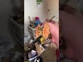 Attacking a leprechaun