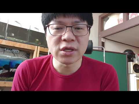 유신쇼 중대발표 양주산반달곰 방송과 전쟁을 중단합니다 [20191222]