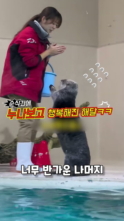사육사 누나한테 푹 빠진 해달~