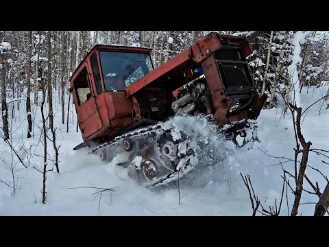 Видео: ДТ75 на японском V8 300сил в глубоком снегу!