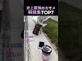 史上最強のカモメ瞬間集TOP7