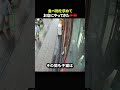 食べ物を求めてお店にやってきた子猫