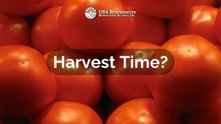 USARAAI Harvest Time - Freezing Tomatoes - HD 1080p