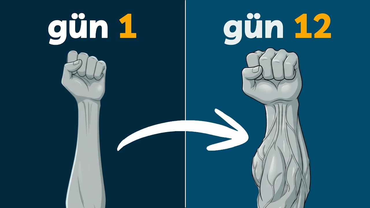 Ön Kolların Neden Büyümüyor? (Evde 5 Hareketle Taş Gibi… — Transcript
