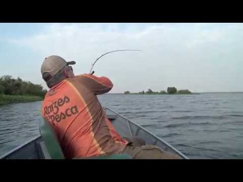 Fish TV - Raízes da Pesca - Continuação da Terceira Temporada - Fish TV - Raízes da Pesca - Continuação da Terceira Temporada