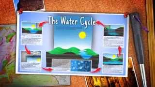 The Water Cycle