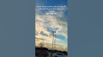 أَلَم يَرَوا إِلَى الطَّيرِ مُسَخَّراتٍ في جَوِّ السَّماءِ - أحمد النفيس An-Naḥl  سورة النحل آيه ٧٩