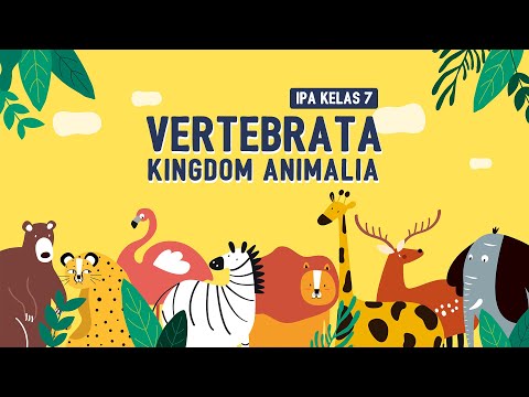 Video: Hewan vertebrata: tanda, ciri, tanda