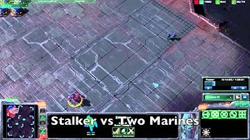 Starcraft 2 - Protoss Stalker vs Two Terran Marines - No Upgrades/Abilities