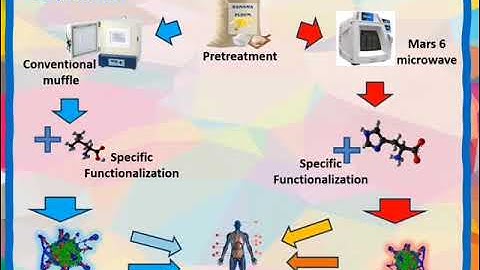 QCD banana   Luna Sanchez