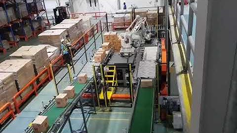 Hệ thống robot palletizer