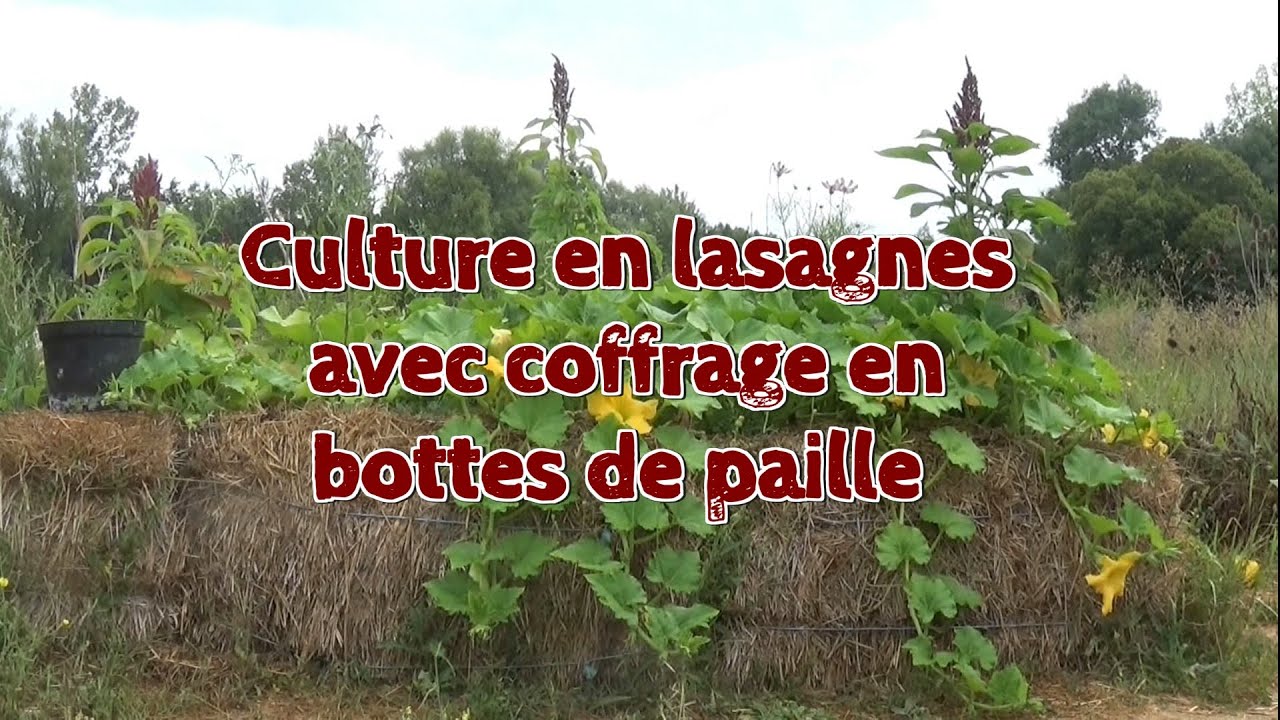 Super culture en lasagnes - YouTube