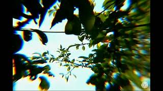 R.hz - Grove Echoshapes