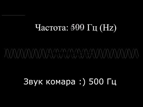 ПРОВЕРЬ СВОЙ СЛУХ, КОЛОНКИ, НАУШНИКИ! Что слышит человек? Диапазон частоты звука INТЕРЕСНОСТИ