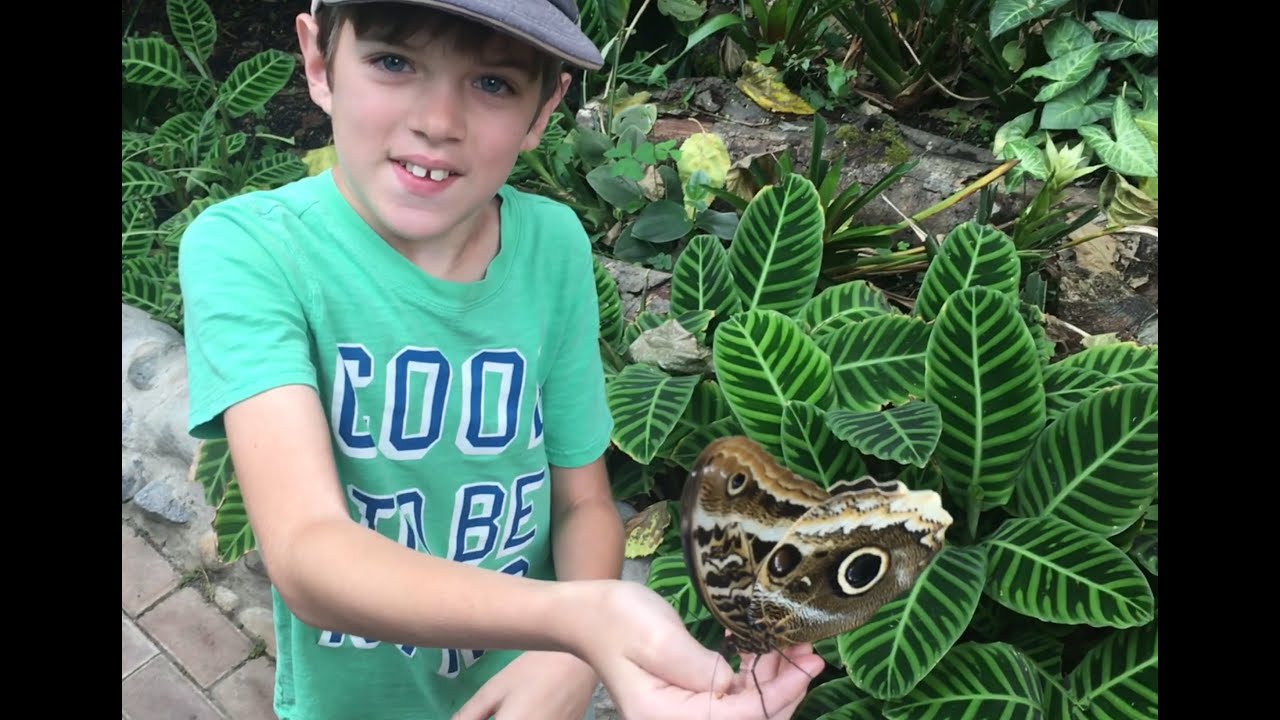 Bug's World Adventures: Mindo, Ecuador