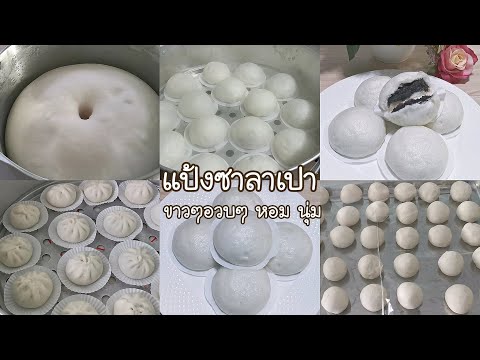 ซาลาเปา วิธีทำแป้งซาลาเปา นุ่มๆขาวๆ อร่อยๆ การห่อซาลาเปา steamed stuff bun EP.193