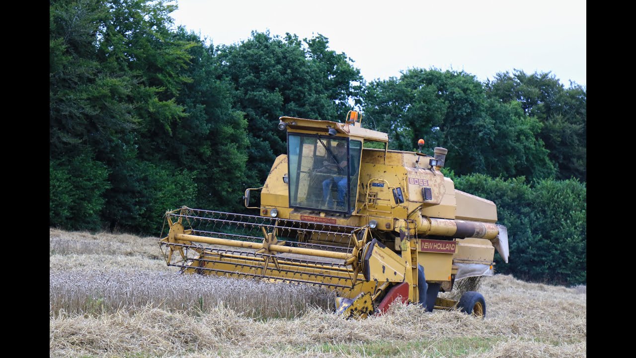 Une New Holland 8055 au blé 2025