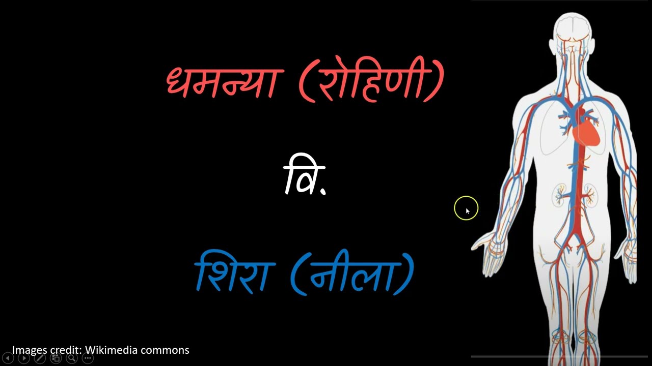 Arteries vs. veins-what's the difference?|Khan Academy | Marathi | Grade 8 | Chapter11 | Science |