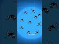 🦟 Google to Release 32 Million Mosquitoes in California! 😱🇺🇸 #history #map
