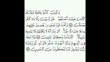 7 - سورة الأعراف ١٤٧-١٤٩ - صلاح البدير