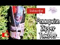 Pennywise Zipper Tumbler Tutorial!