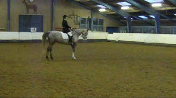 Irma Veltink met Zosja (klasse L1), concour Hoogenweg 27 februari 2011 - 1e prijs 198 punten :)